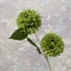 MIX--#6