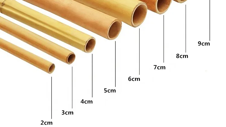 Moso Bamboo Poles 10 Foot 3 Inch For Building - Buy Moso Bamboo Poles