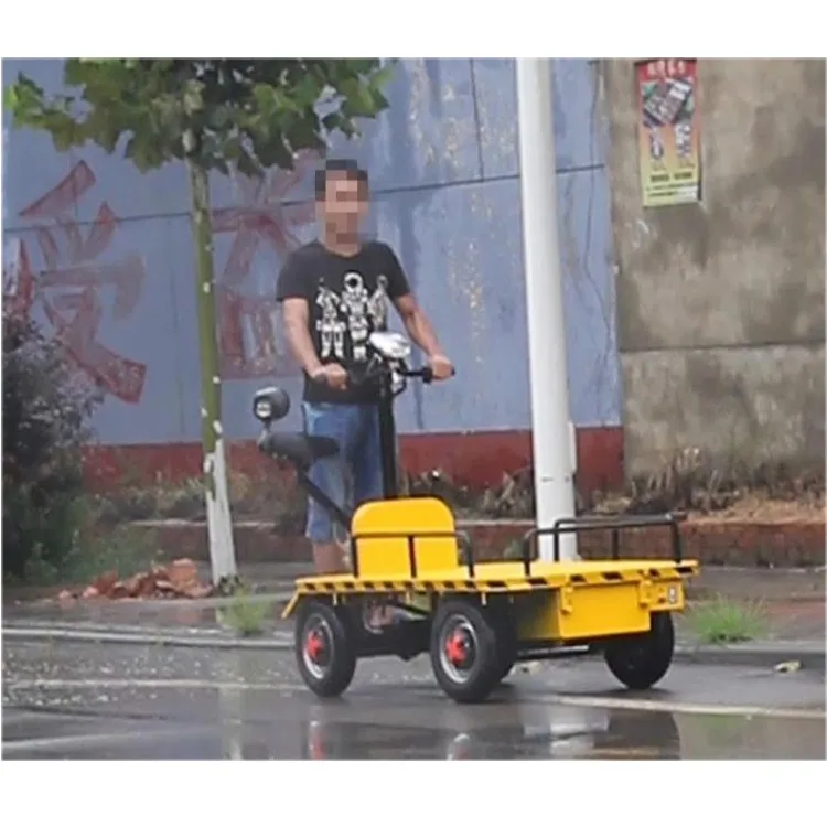 Compact Structure and Easy Moving Portable Car Electric Flat Cargo