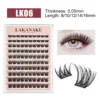 LK06