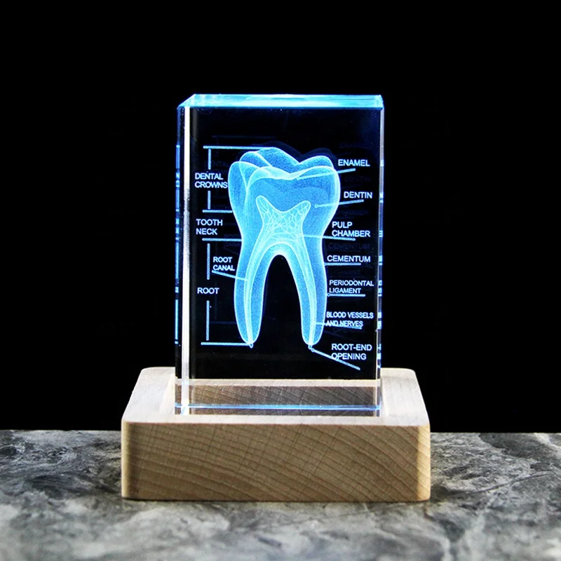 3D Crystal Teeth Engraved Cube Anatomy Model - Ideal Souvenir for