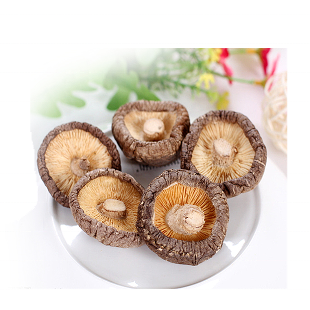 Цветочный гриб