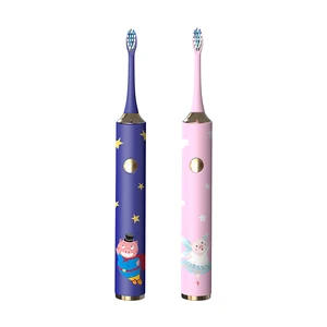 Hygiene Care Rechargeable Electric Toothbrush for Coralrich Electric Body Brush