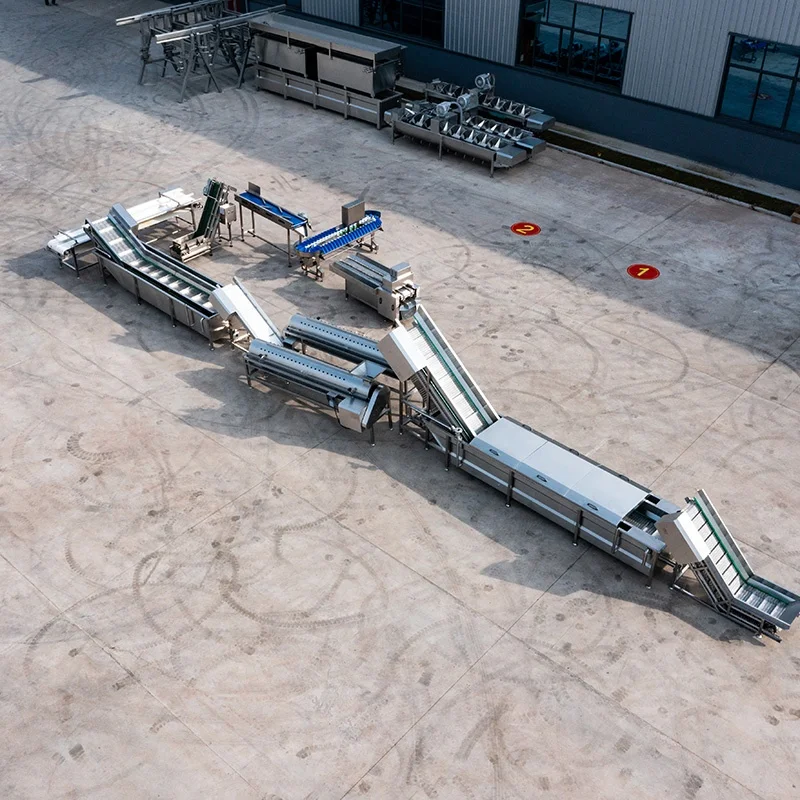 High Efficiency Chicken Feet Peeling Machine Poultry Chicken Feet Peeler Chicken Feet Skin Removing Machine