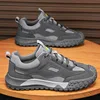 W270 gris