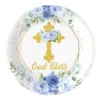 Blue: 9 inch plates*10pcs