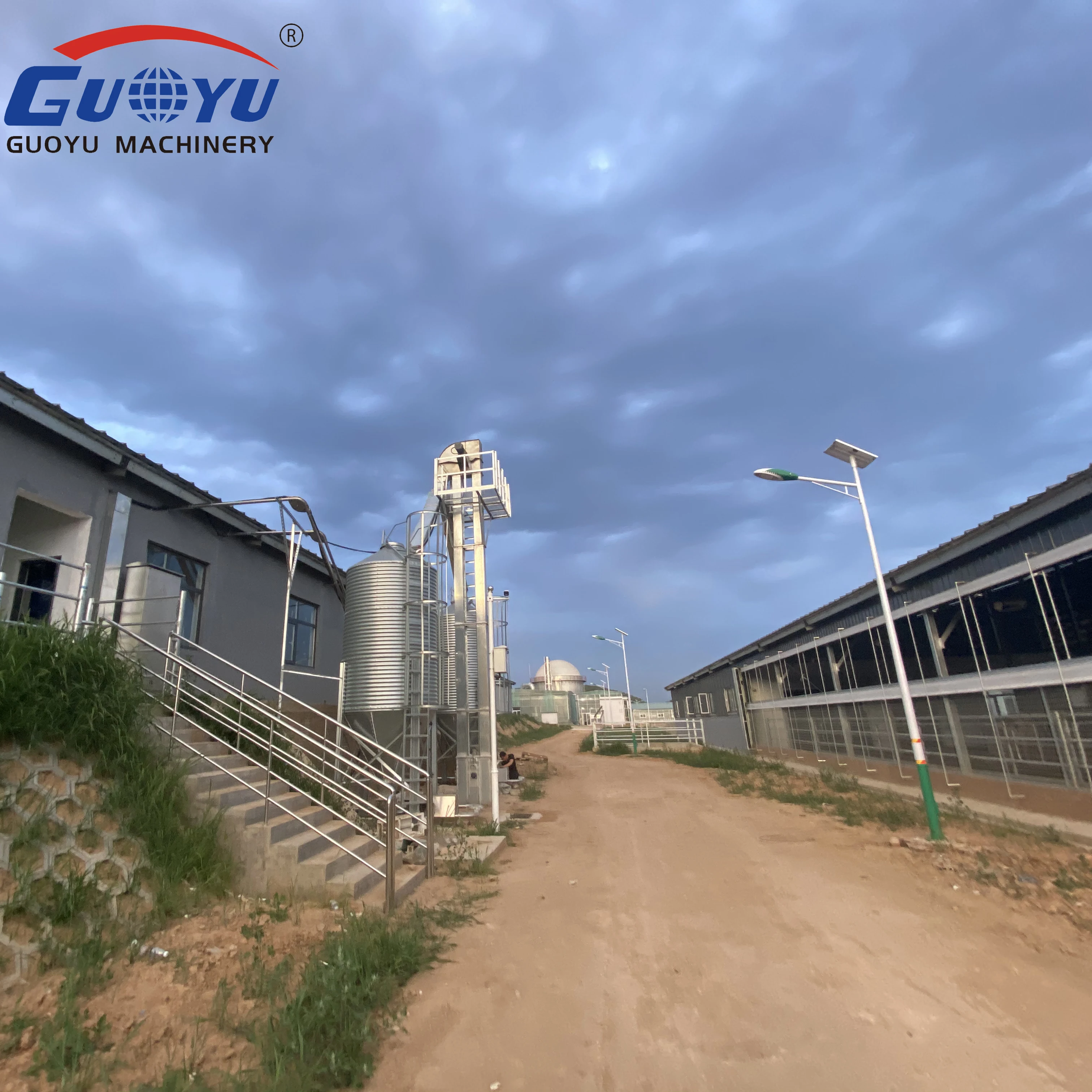 Modern Automatic 2 Ton - 50 Ton Low Price Corn and Soybean Storage Silo Grain Silo