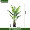 110CM/Palmier Areca