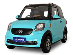 Богатый H6 Новый электрический автомобиль 50 км/ч с 72 в 100 А/ч свинцово-кислотная батарея для городского использования