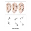 WS-F096