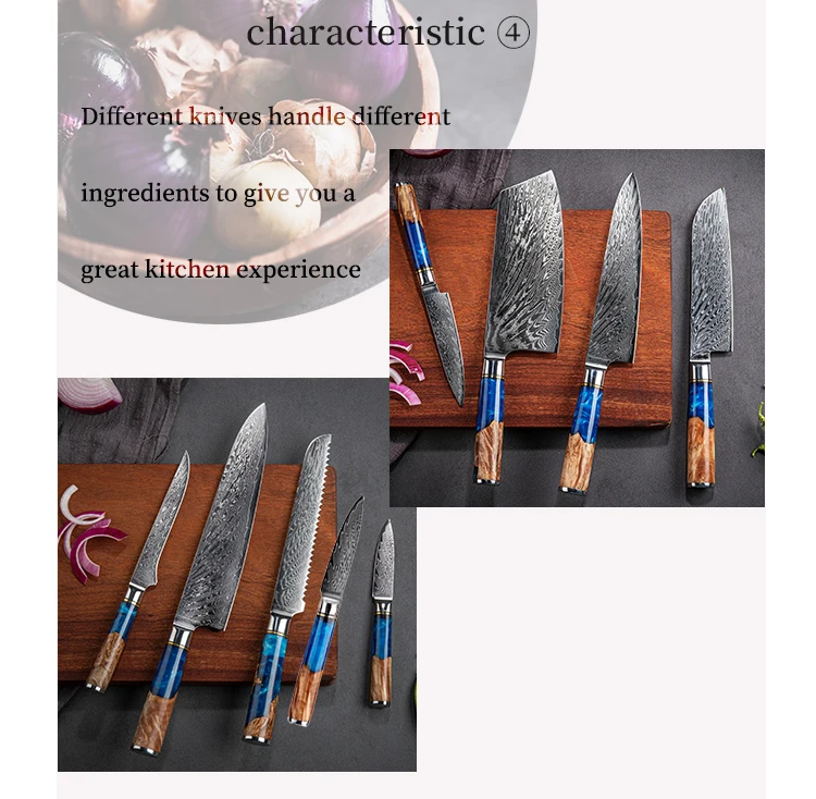Wazirabad Damascus Pakistan Handmade 8" Chef Knife Set Vg10 67 Layers
