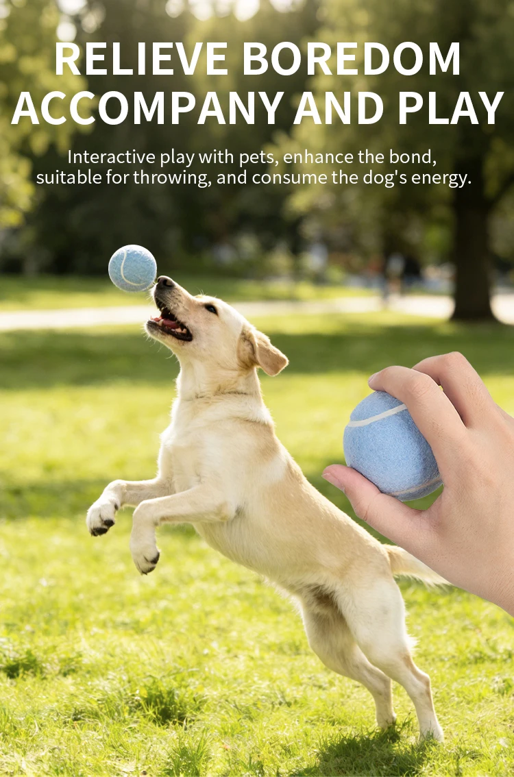 Eco-Friendly Throwing Dog Chew Toys Wholesale Rubber Pet Tennis Balls Interactive Dog Toy Ball