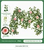 Flower cluster money flower vine