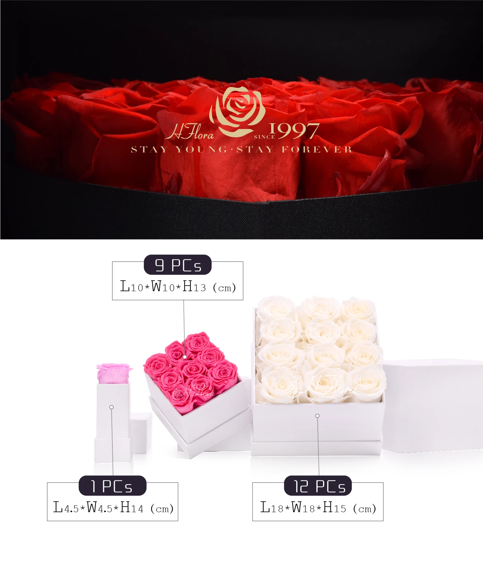 Hfloral Eternal Long Lasting Roses Real Flowers Real Natural Preserved Roses Flowers And Plants