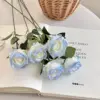 Graduated Blue