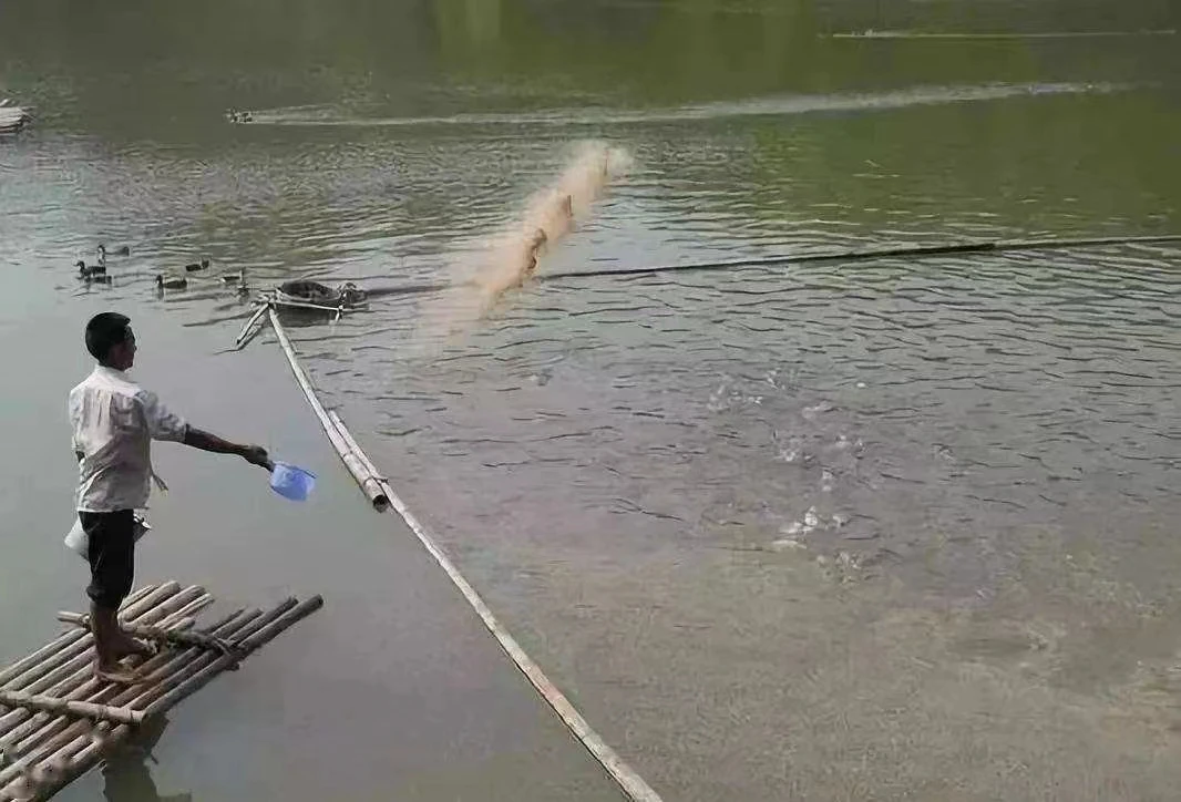 1 Fish Premix Feed For Catfish With Lowest Price Buy Fish Premix