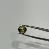 SEGÚN LA IMAGEN
