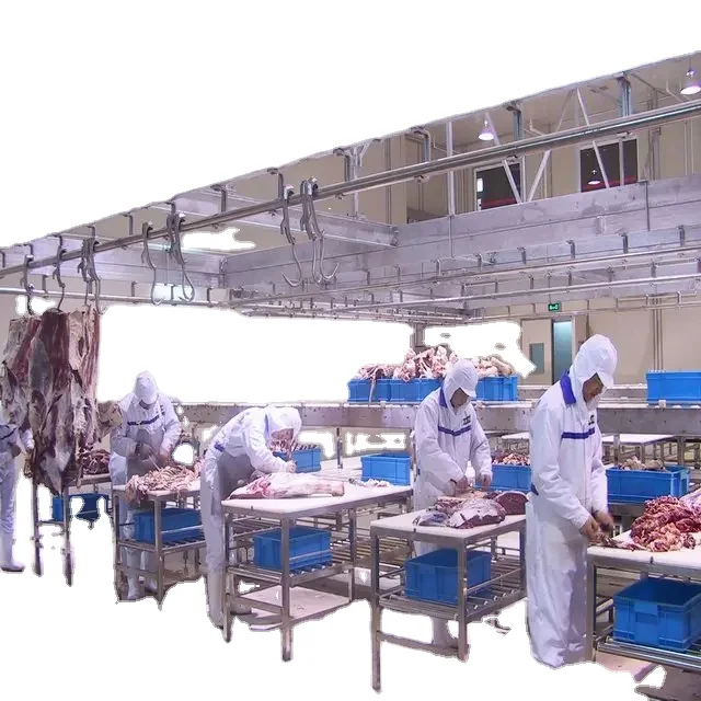 Complete slaughterhouse equipment 50 cow beef slaughtering equipment for slaughterhouse