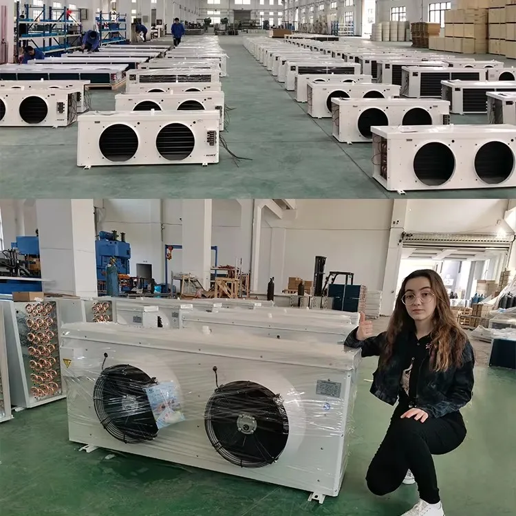 Condensing Unit, 380 V, 500 W - detail 14