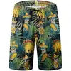 Tropical Dinosaurs