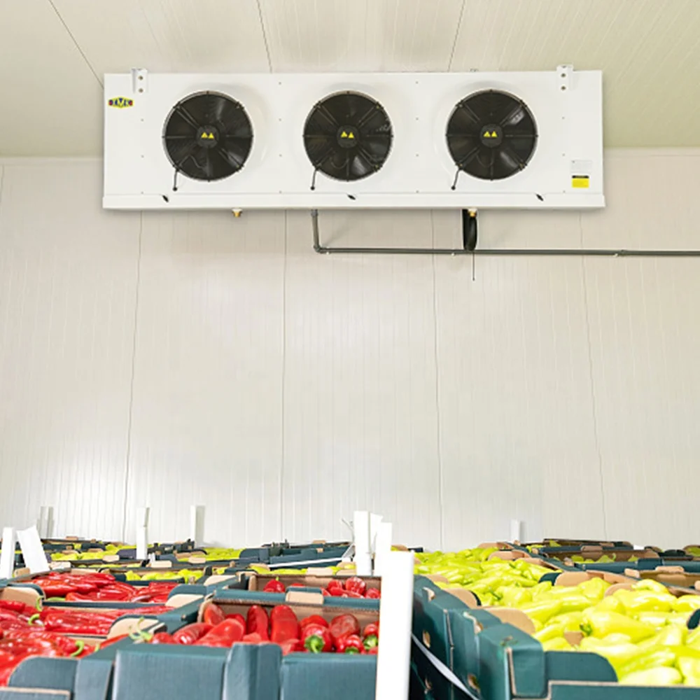 Easy Installation Walk in Vegetable Processing Plant Cold Room Cold Storage Plant Commerical Industrial Cool Rooms