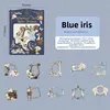 B Blue Court Iris