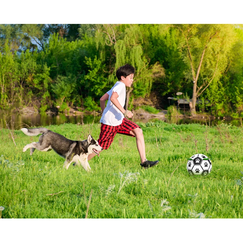 Pet Products Wholesaler Dog Football with Grab Handles, Interactive Dog Toy  for Tug of War Dog Toy Dog Water Toy Durable Dog Balls - China Dog Football  with Grab Handles and Durable Dog Ball price