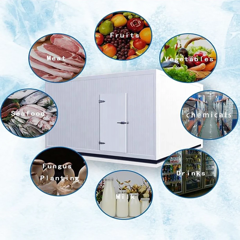 Stable Climate Control Cold Room for Chocolate Confectionery Storage Featuring Solar Copeland Compressor Gear Bearing Core