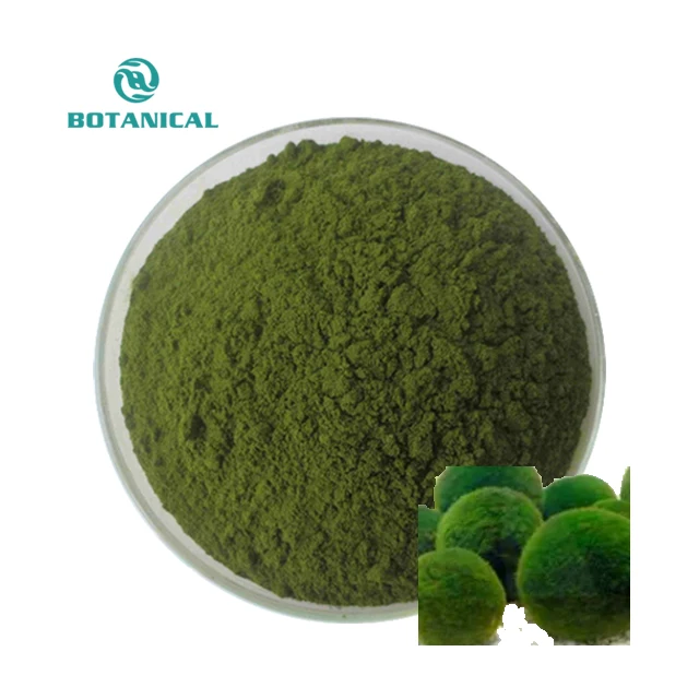 Algae Powder Organic Chlorella Powder 1Kg  99% Broken Wall Spirulina Chlorella Powder