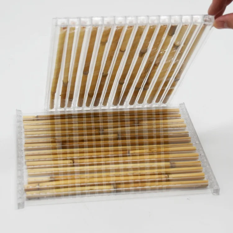 Новый продукт 8 мм полый поликарбонат + бамбуковый лист с антикоррозийным