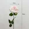 ขาวอมชมพูครีม