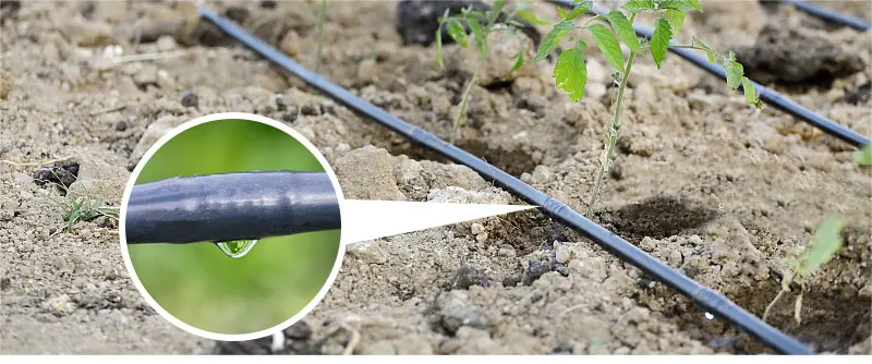 Agricultural HDPE Drip Irrigation Pipe 16mm 0.8 Thickness 30cm Hole Space 500m/roll Durable Drip Line H83e7a46077cb4b55845e98ead56cac59A