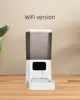 Modello wifi
