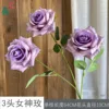 3-Headed Goddess Rose WY Deep Purple