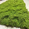 Green-016