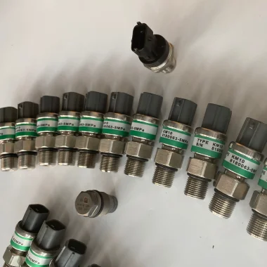 カル＝エル DBL FACE HOODIE(L CHARKOAL): (c)SAINT Mxxxxxx｜WILDSIDE