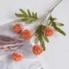 Arancione autunnale