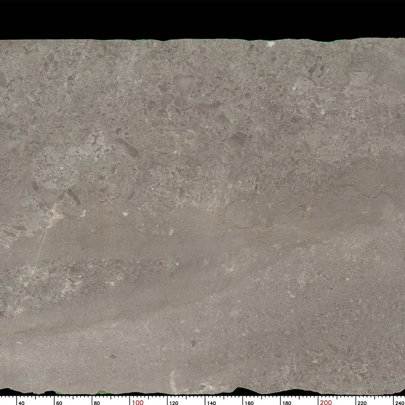 product wholesale factory direct alice grey marble slabs for floor grey marble tiles for interior wall design-1