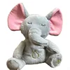 Elefante