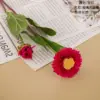 Rosa roja