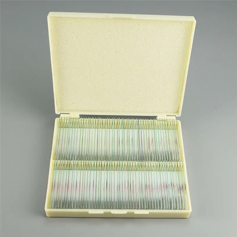 Prepared Microscope Slides Box with Blood Specimen