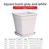 Blanco roto
