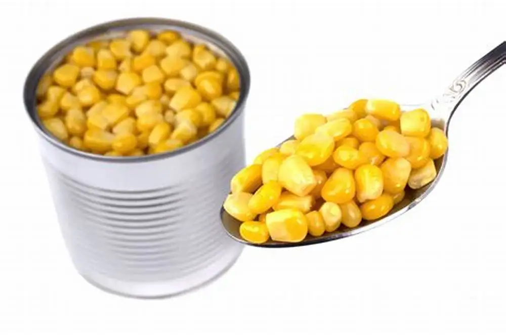 Оптовая продажа, здоровая кукуруза, желтая кукуруза в консервах