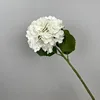 White 182 film hydrangea