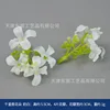 Fleurs parfumées, blanc laiteux