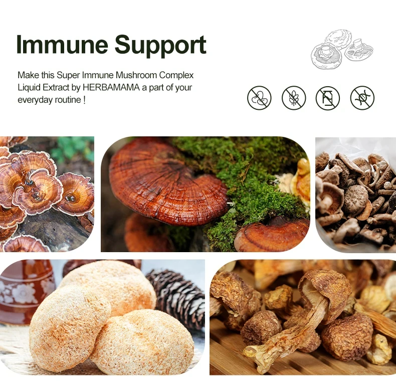 Vegan Mushroom Extract Liquid Drops Organic Mushroom Complex Drops