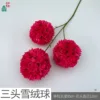 Three-headed snowball WY Rose Red