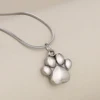 Pata de plata