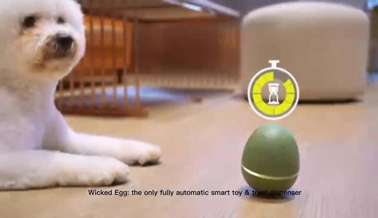 Smart pet toy Wicked Egg