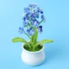 space dyed blue-Baby's breath potted plant (large white pot))